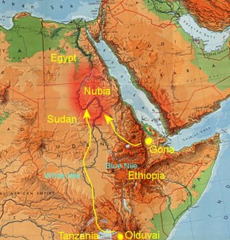 Homo Erectus migration into Nubia