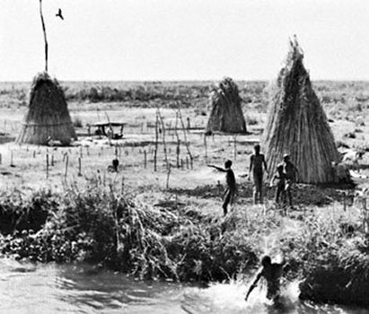 Mesolithic hut