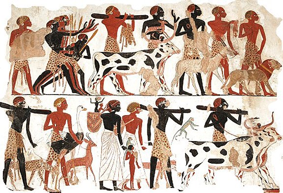 Nubians with various domesticated animals
